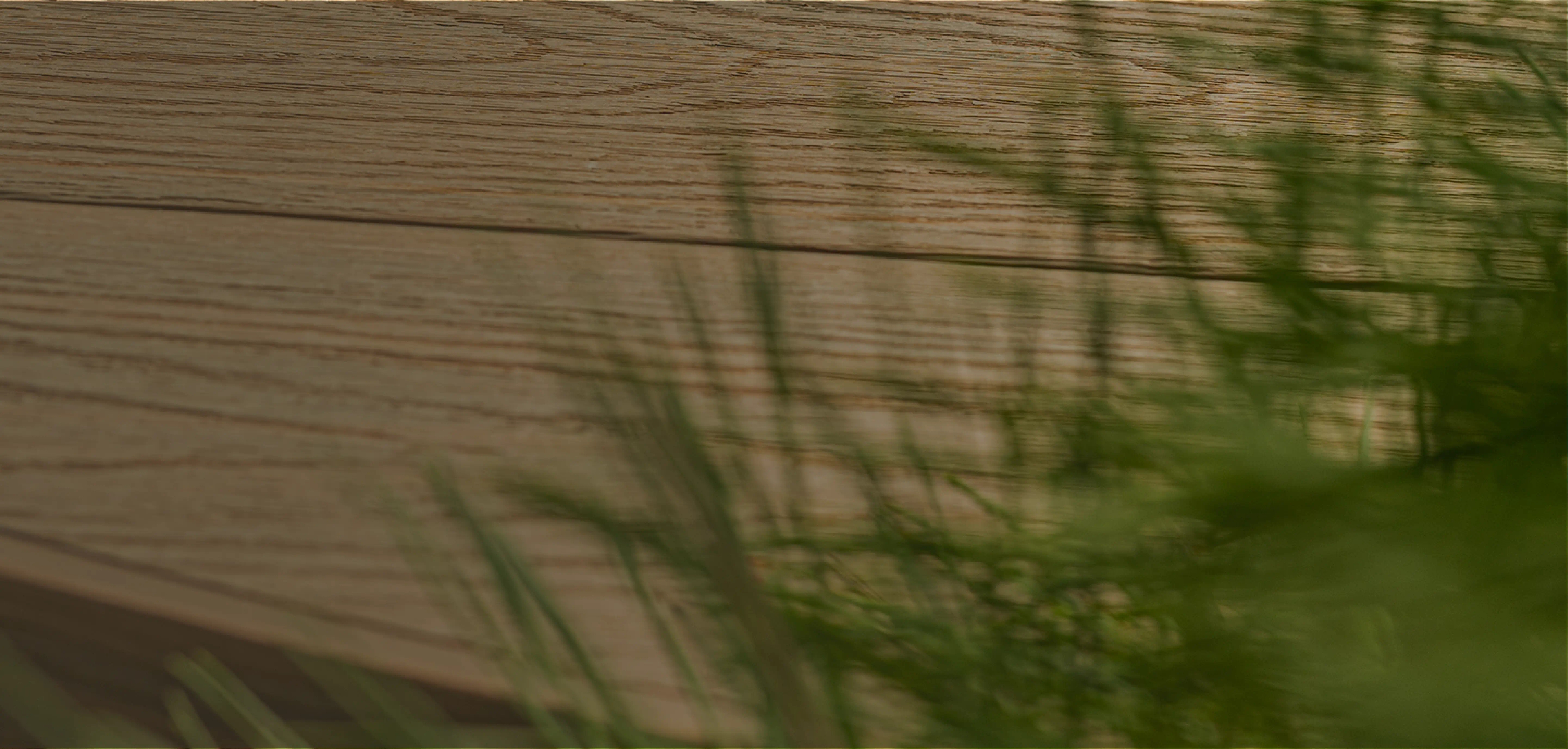 Prémiová WPC terasa Timbermax u moderního rodinného domu